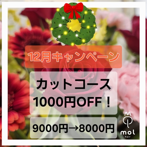 キャンペーン情報